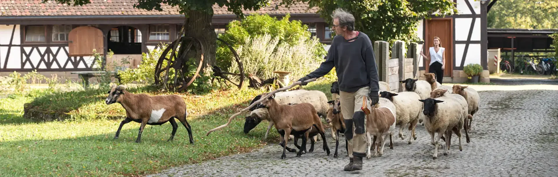 Header-Hinter-den-Kulissen-JG
